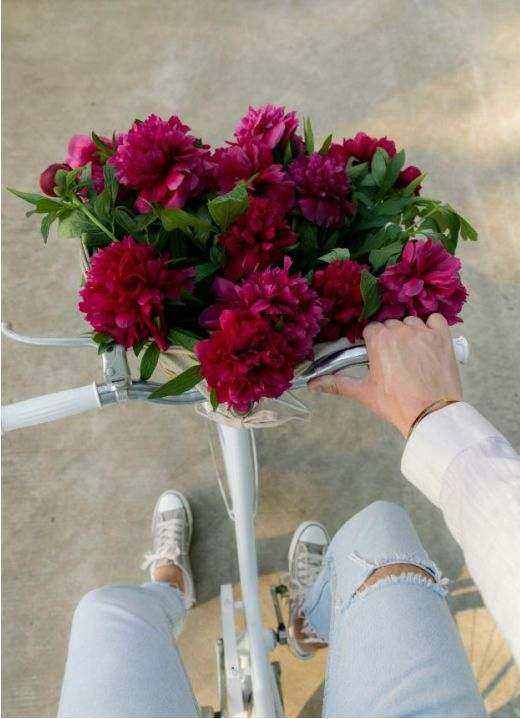Dagverse rozen achtergrond